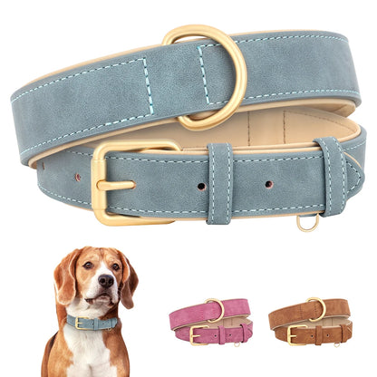 Pawsitive Durable Leather Dog Collar – Soft Padded, Durable, Adjustable for Small to Large Breeds