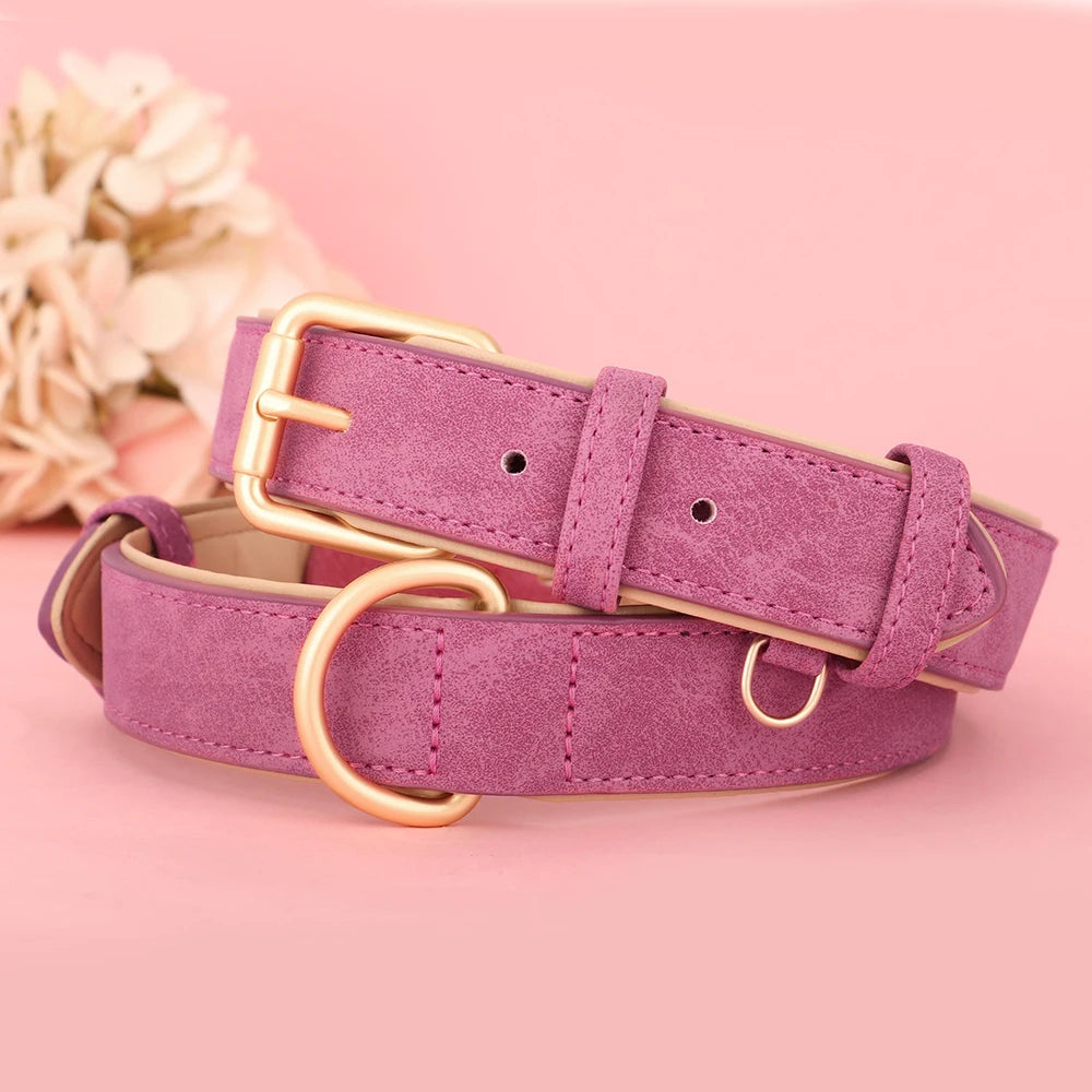 Pawsitive Durable Leather Dog Collar – Soft Padded, Durable, Adjustable for Small to Large Breeds