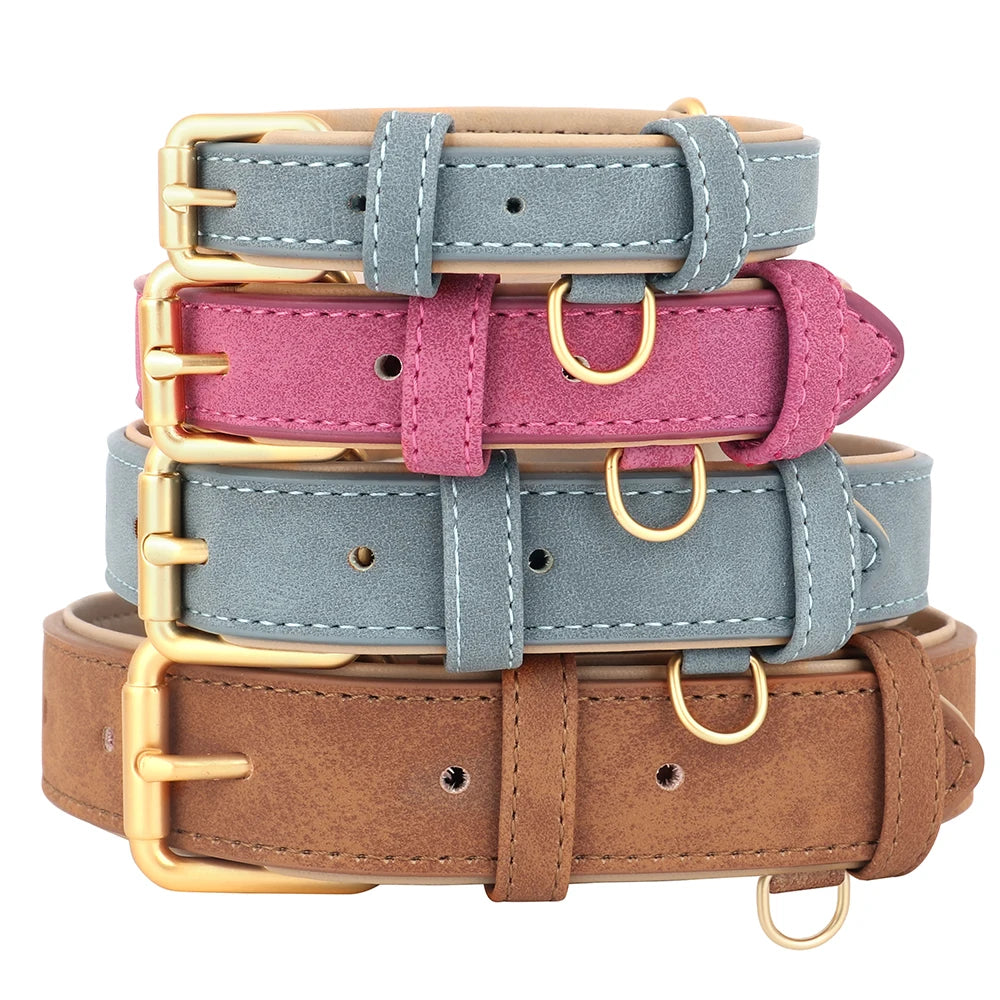 Pawsitive Durable Leather Dog Collar – Soft Padded, Durable, Adjustable for Small to Large Breeds